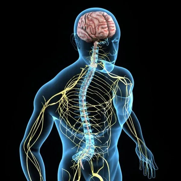 Symptoms we help with at Magnolia Medical Group