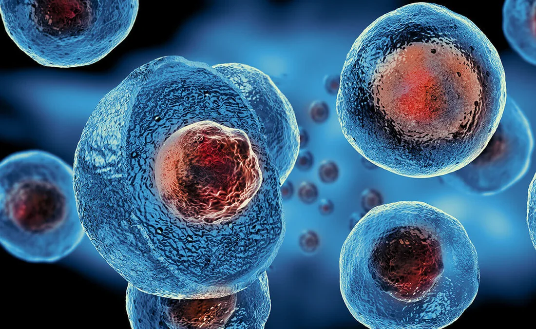 Regenerative Medicine